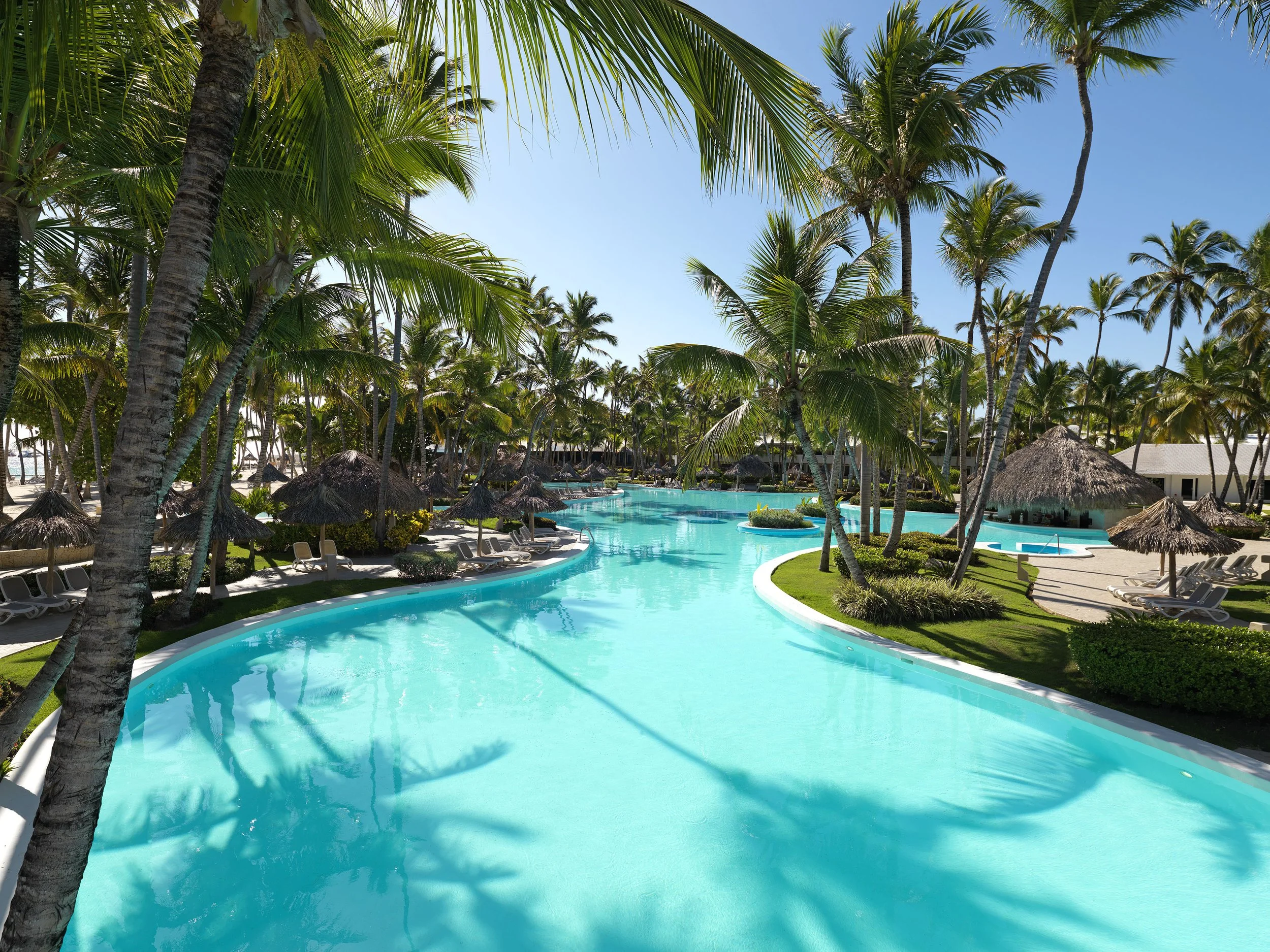 Luxury resort pool surrounded by palm trees, thatched umbrellas, and lounge chairs on a sunny day