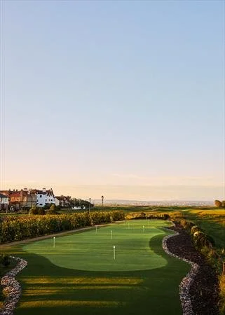 Golf course putting green with white flags, bordered by landscaping and houses in the background under a clear sky.