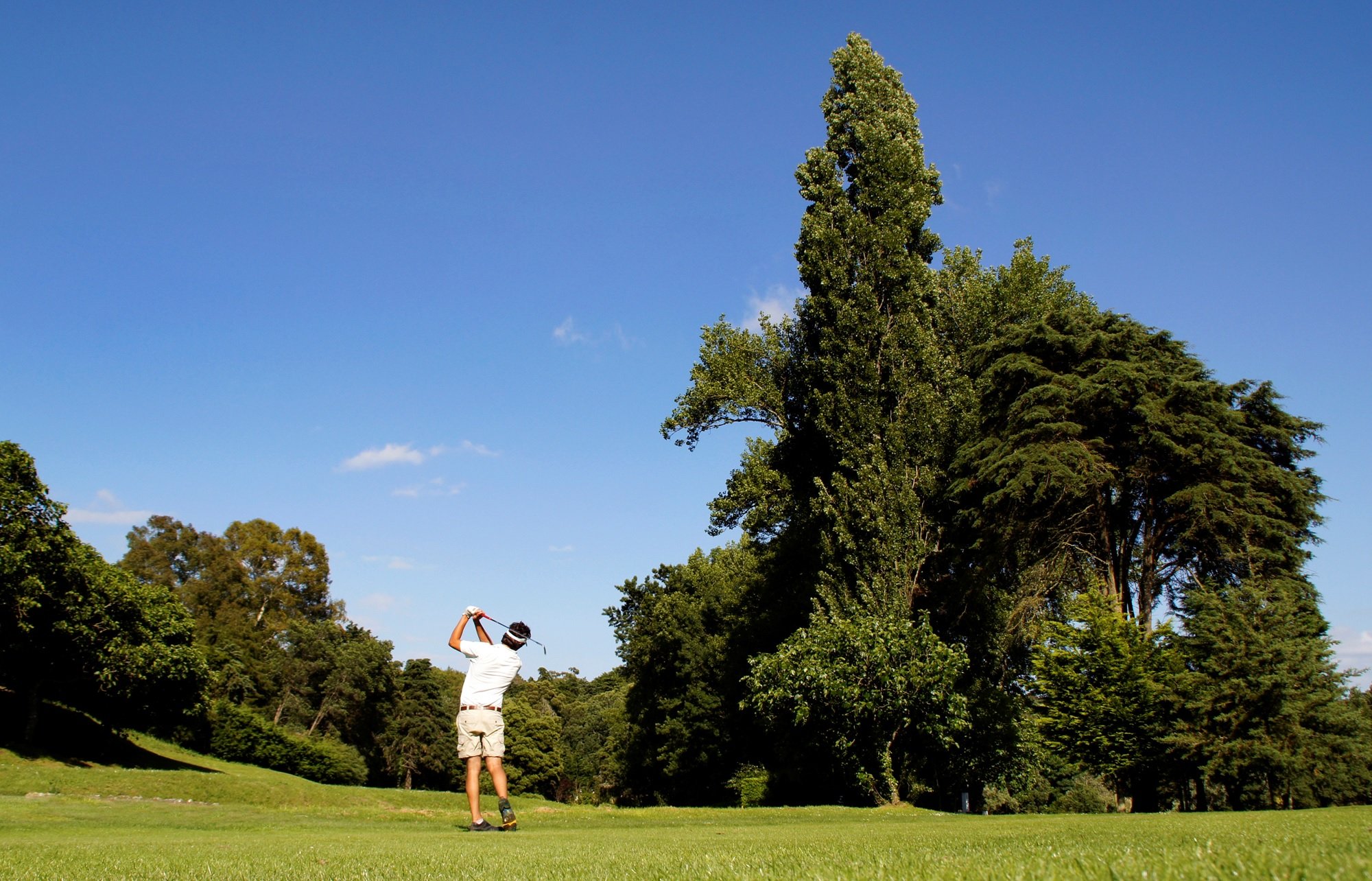 A man playing golf on a lush green golf course during a sunny day, surrounded by tall trees and a clear blue sky.
