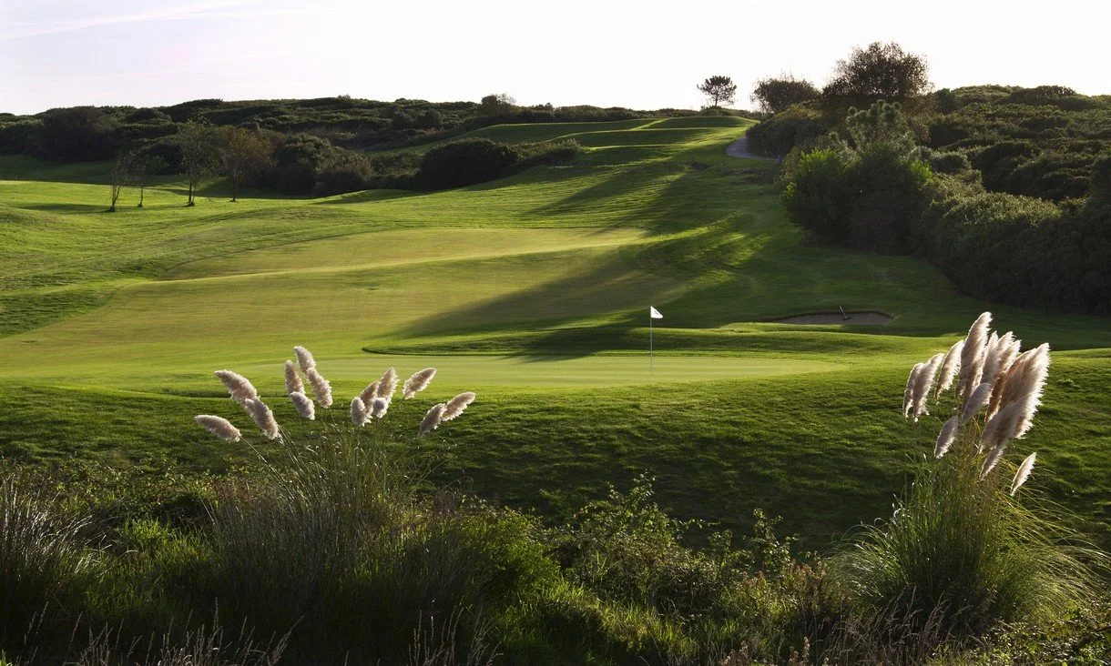 A golf course fairway with a flag on the green, surrounded by lush grass, trees, and shrubbery in the distance.
