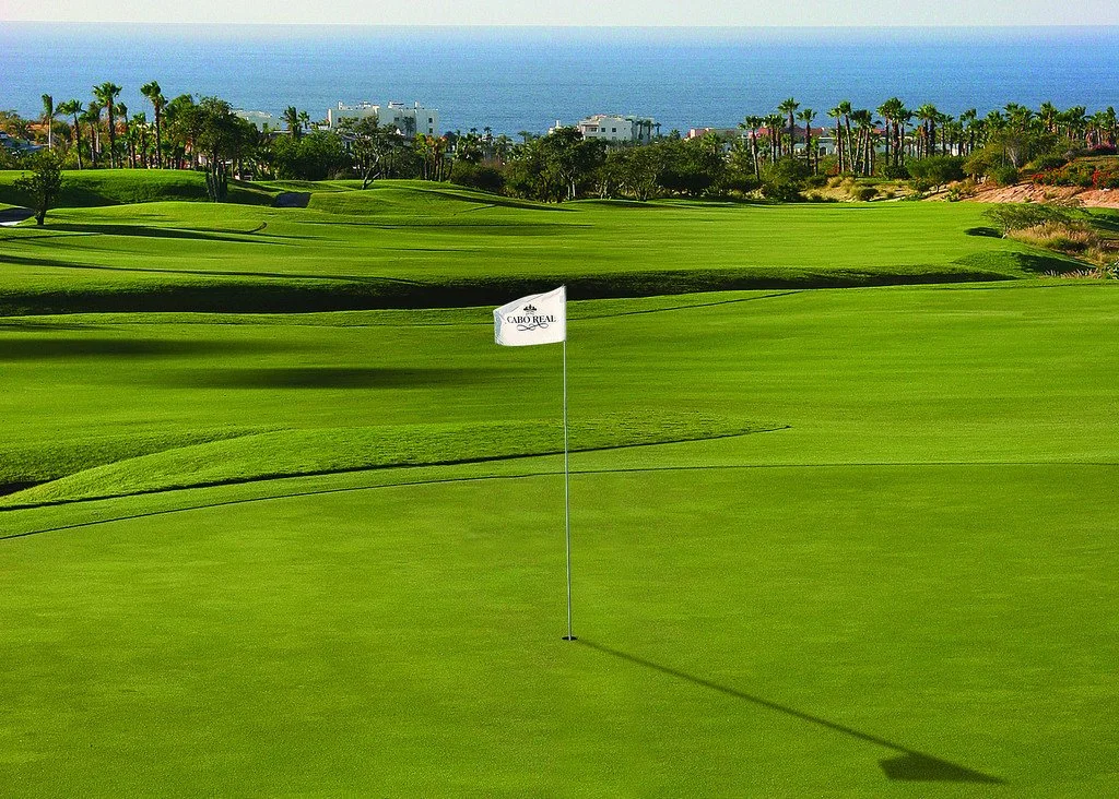 Golf course with a flagstick and hole, surrounded by neatly maintained greens, palm trees, buildings, and the ocean in the background.