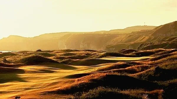 Rolling sand dunes or grassy hills with mountain range in the background under a clear sky during sunset or sunrise.