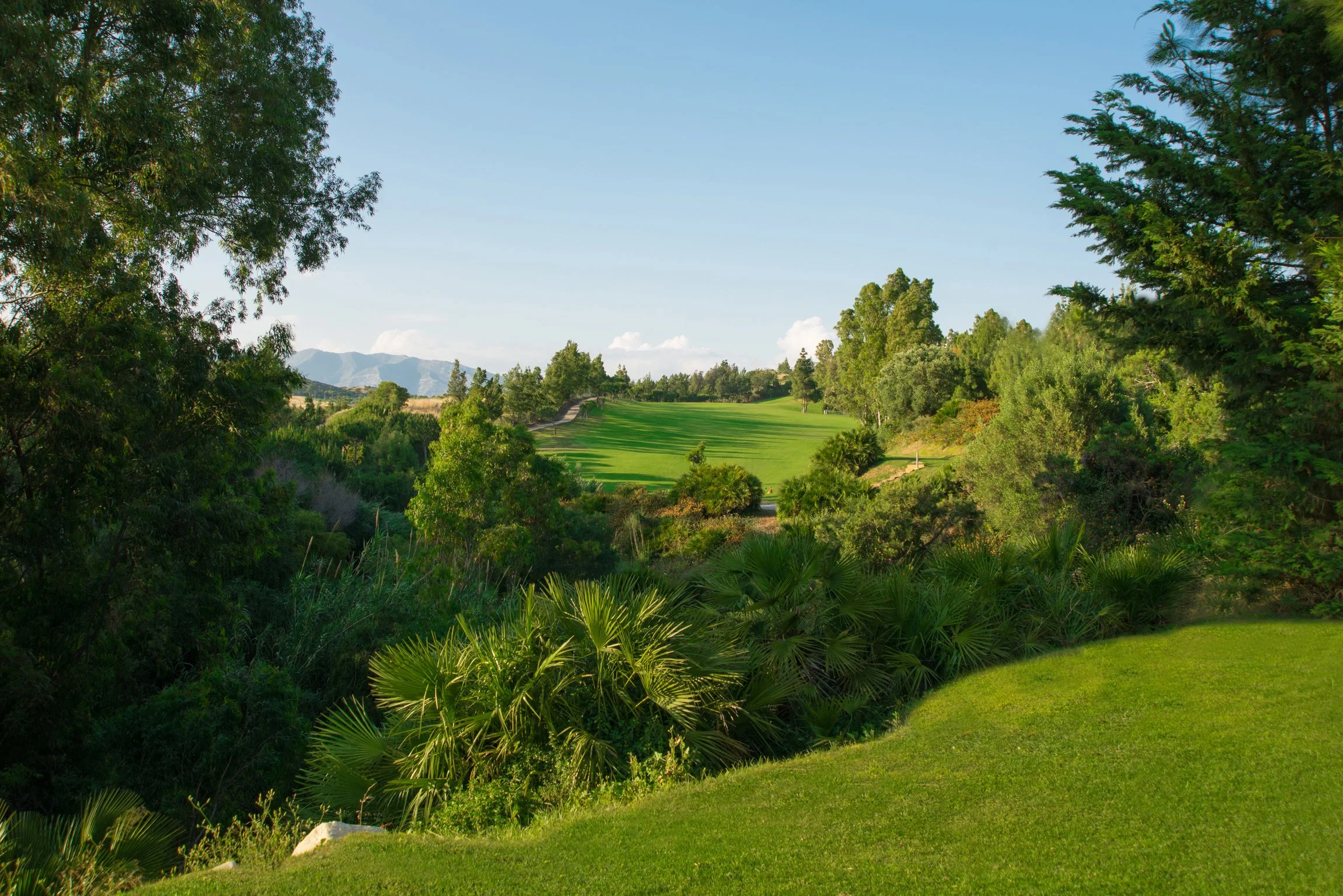 Scenic view of a lush golf course surrounded by trees with mountains in the background under a clear blue sky.