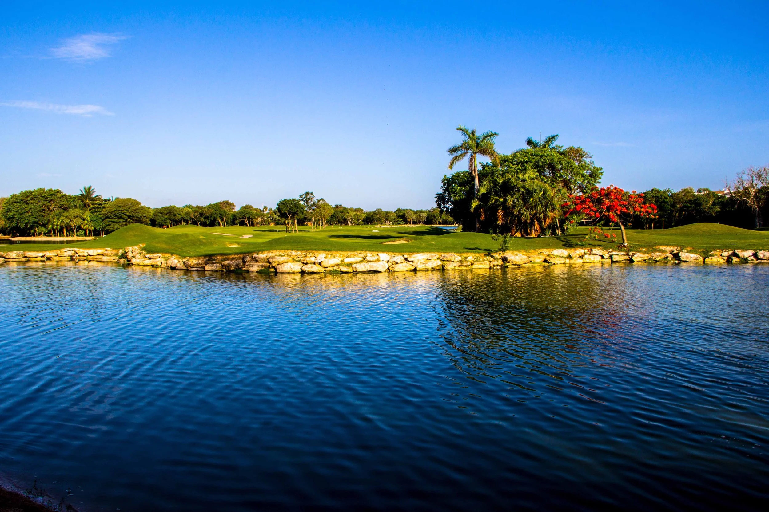 A golf course with lush green fairways, palm trees, and colorful flowering trees surrounded by water under a clear blue sky.