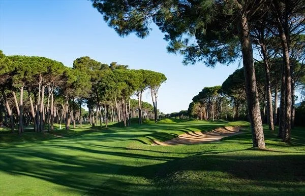 A lush golf course with green fairways, sand bunkers, and tall trees lining the course under a clear blue sky.