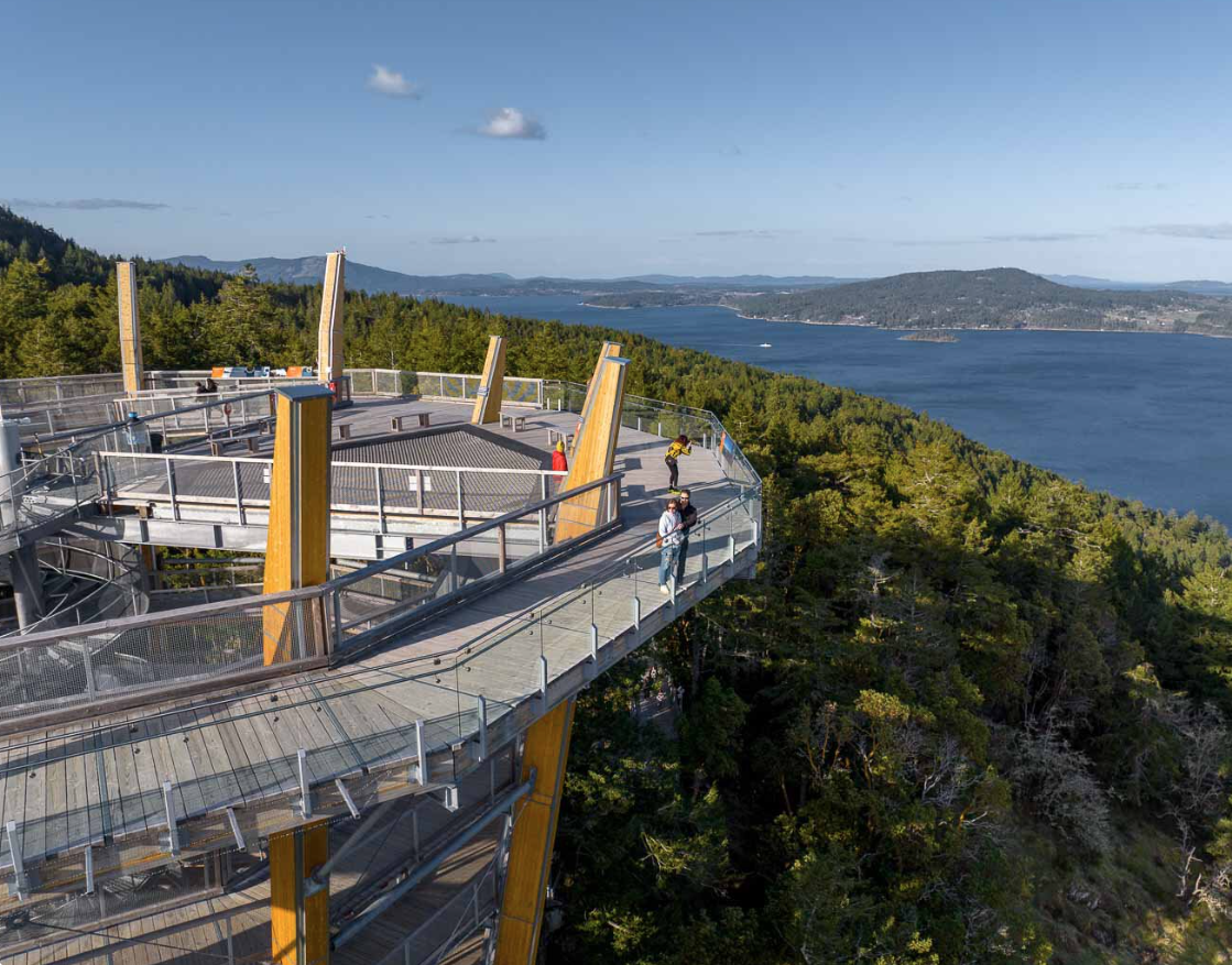 Aerial view of a multi-level observation deck on a hill covered with trees, overlooking a large body of water with distant landmasses, with several people walking and taking photos.