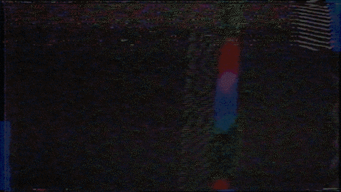 Springer Dinger - Social.gif