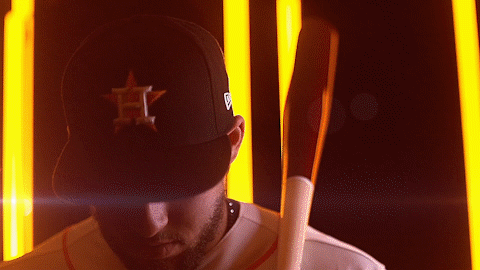 4 - Springer Intro.gif