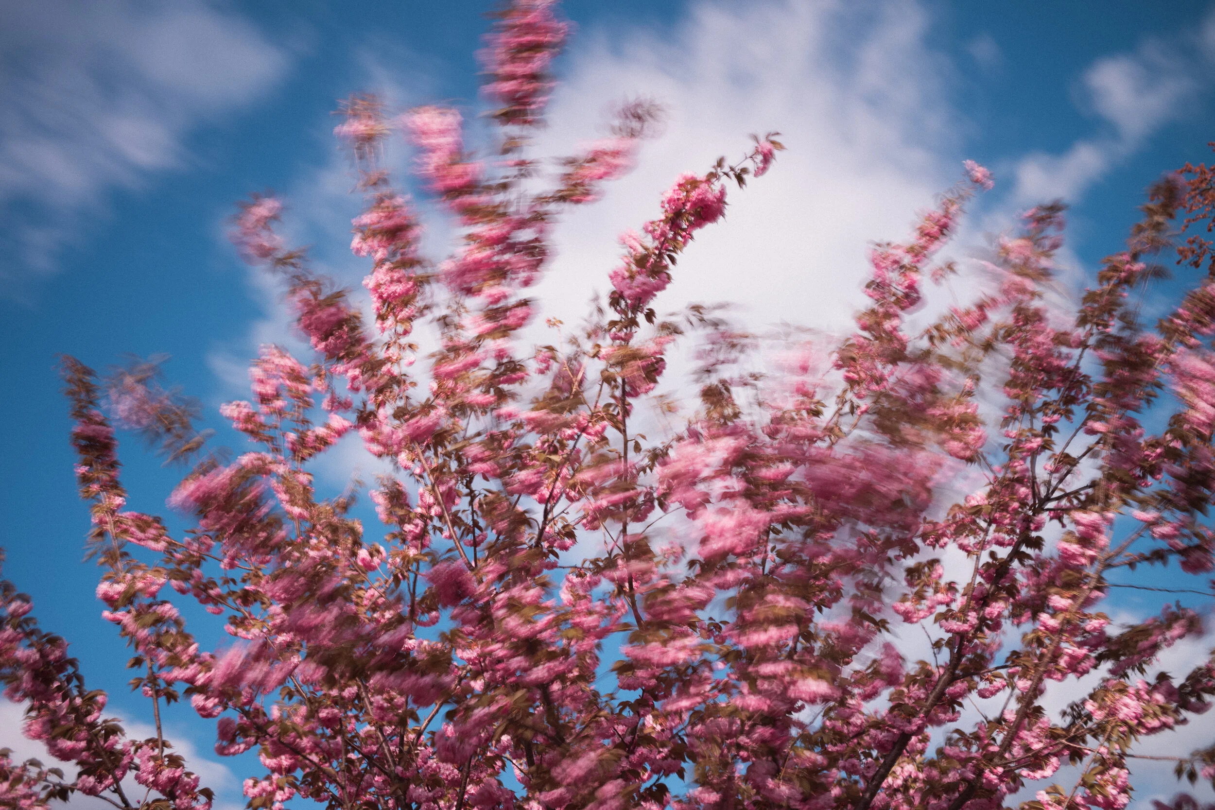 The Hidden Power of Imposter Syndrome