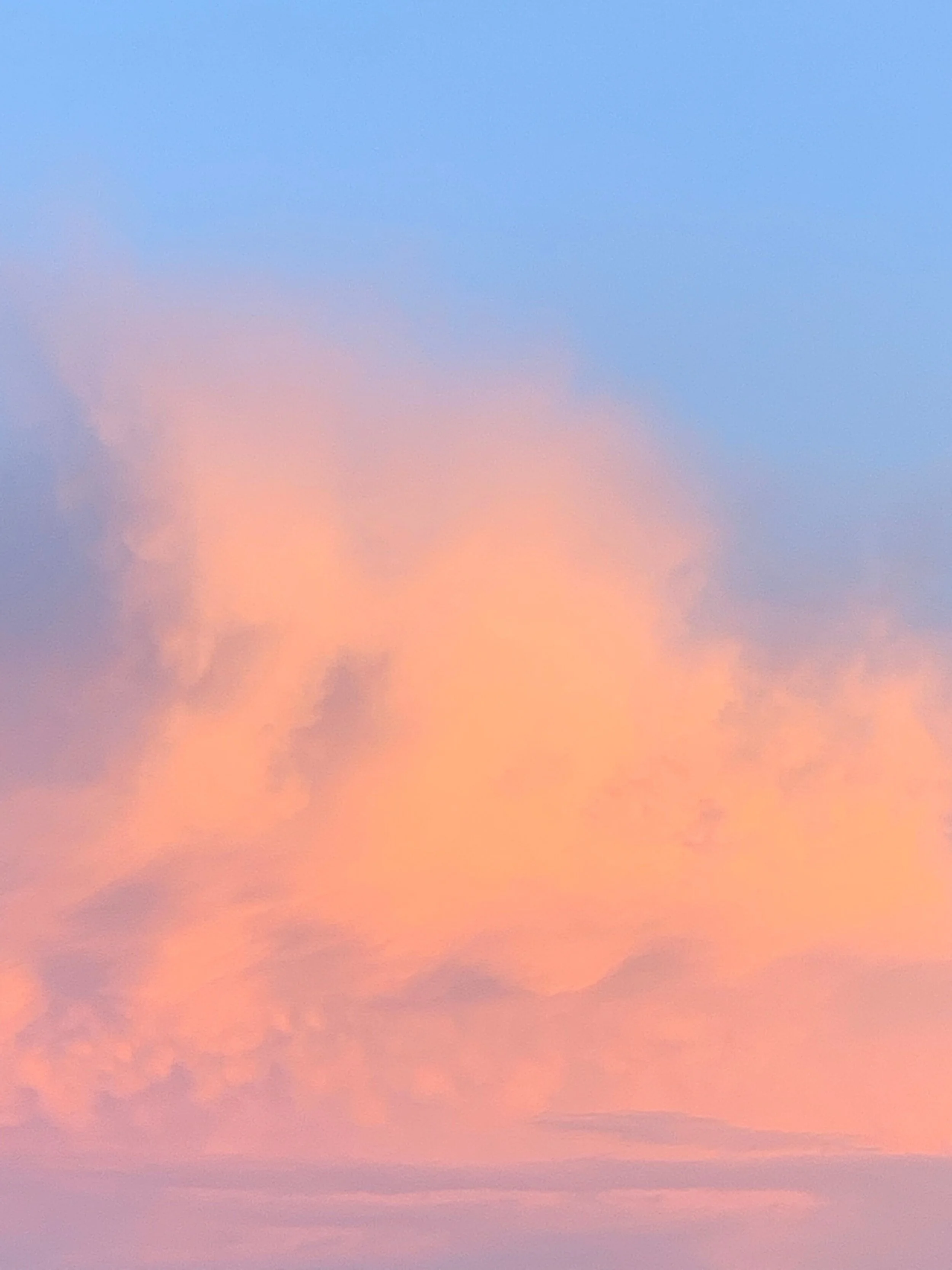 It's a Colorful Life! Sobriety After the Storm