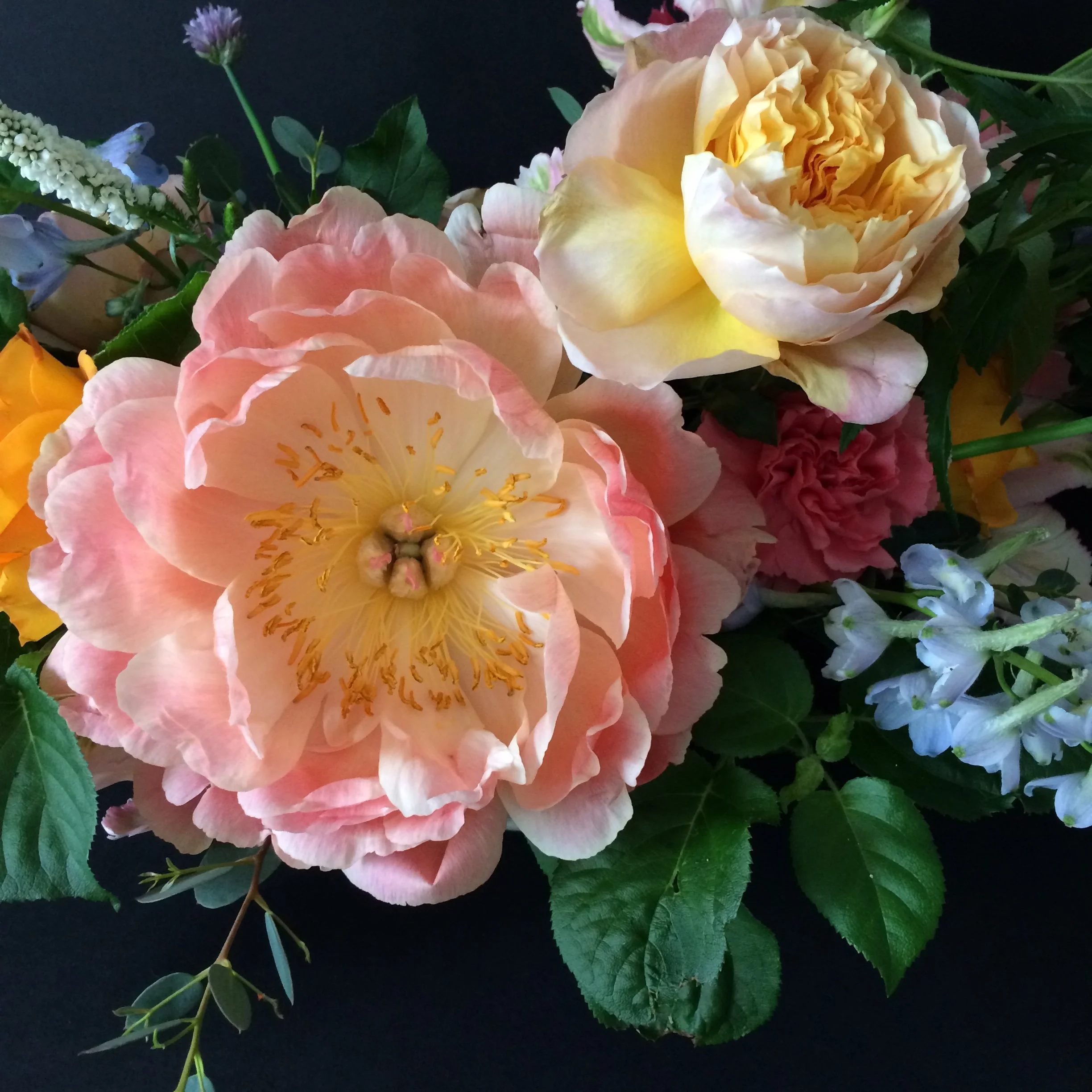 It’s time we kill the Kegel hype