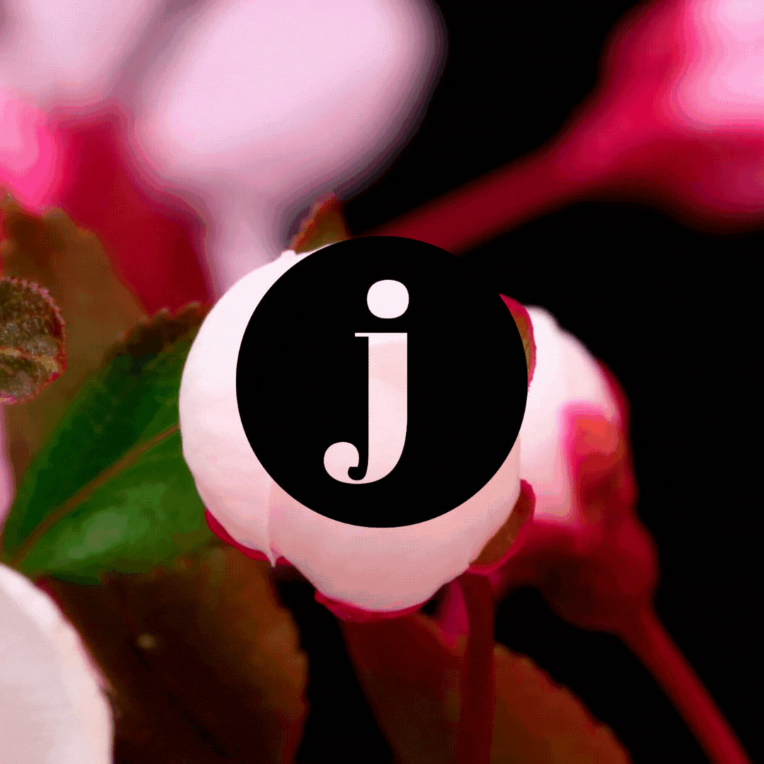 Feeling Blah? Let Pleasure Be Your Guide