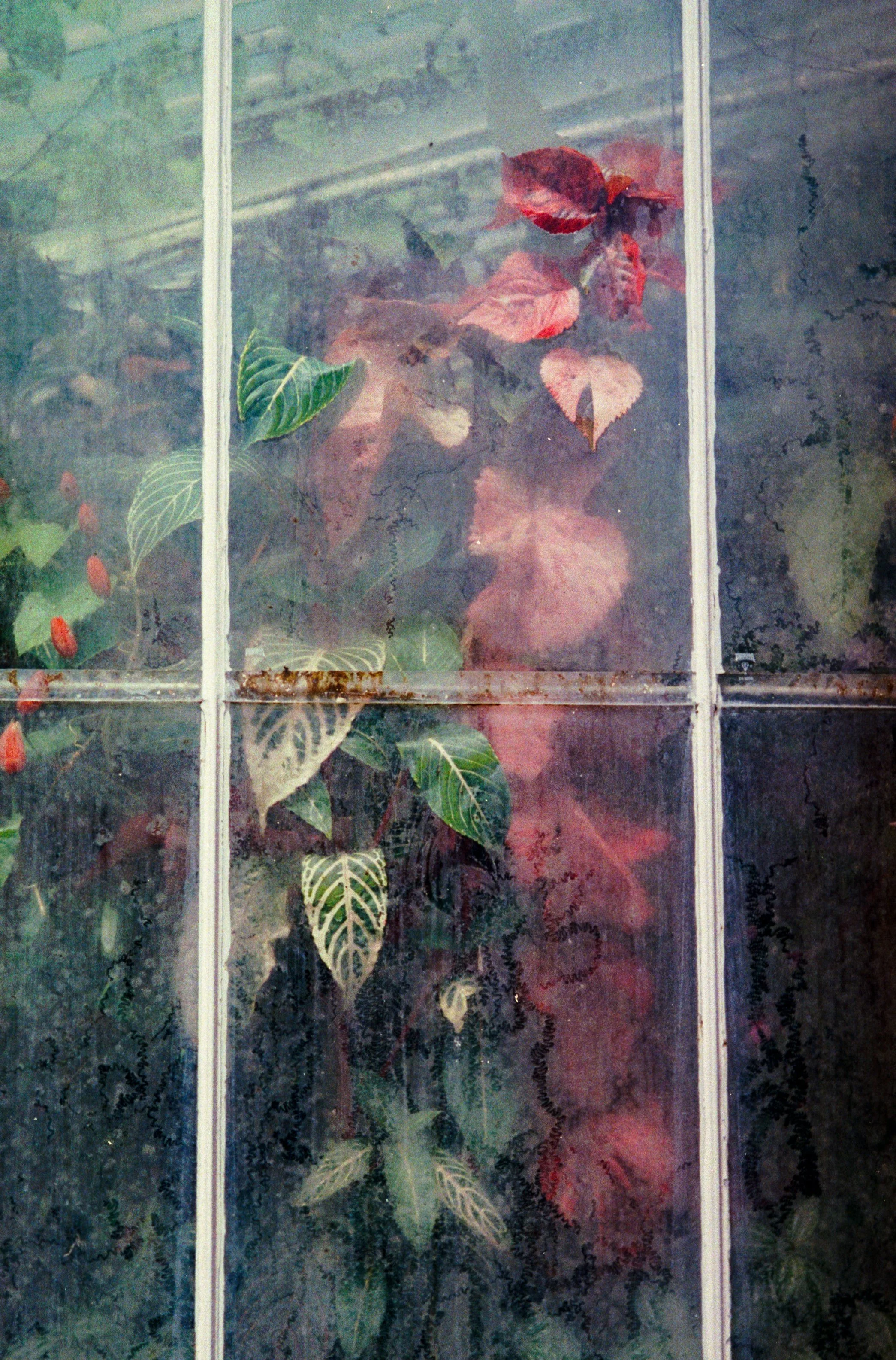 Is your Mother Wound showing? 