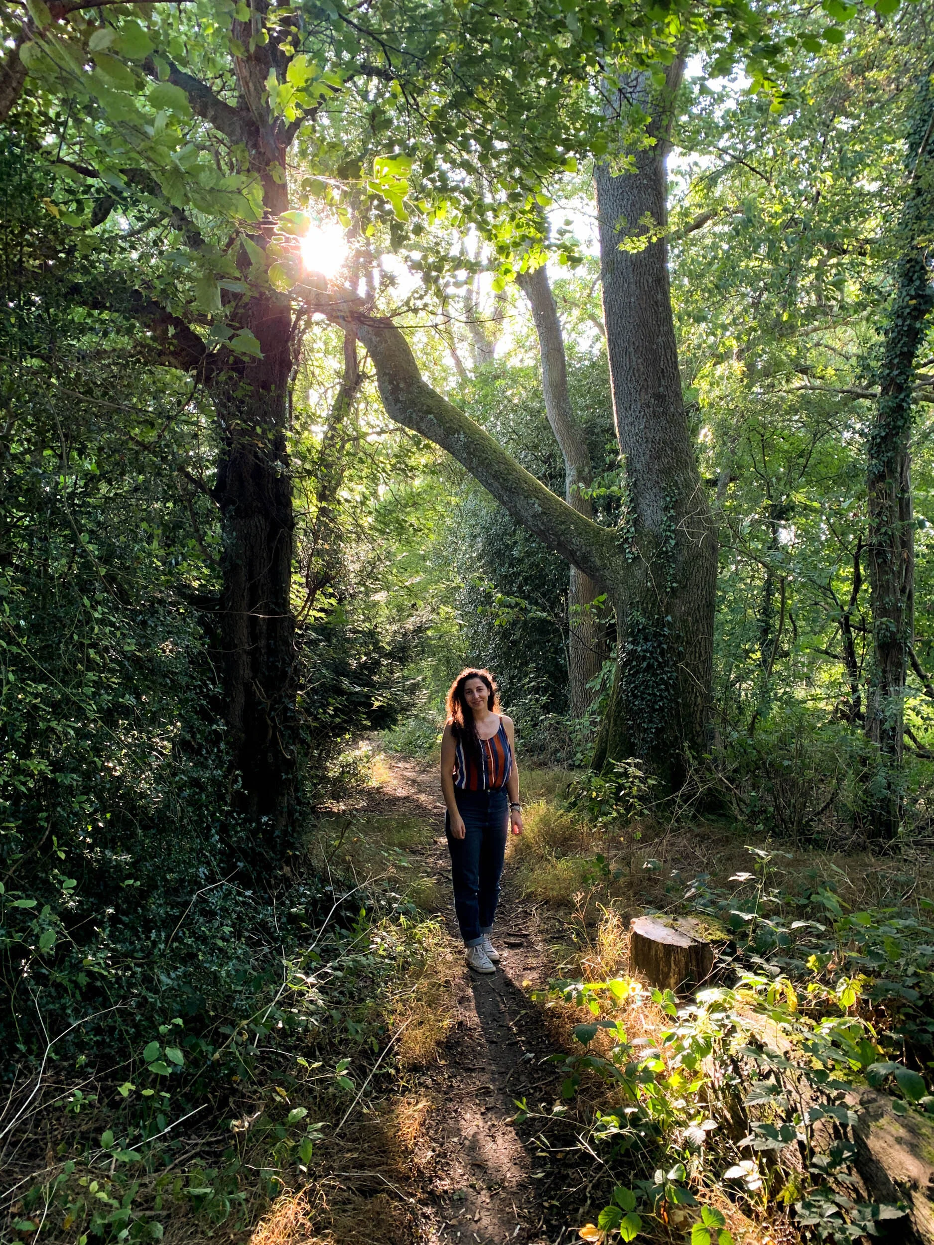 Pinar curiousme design.jpg