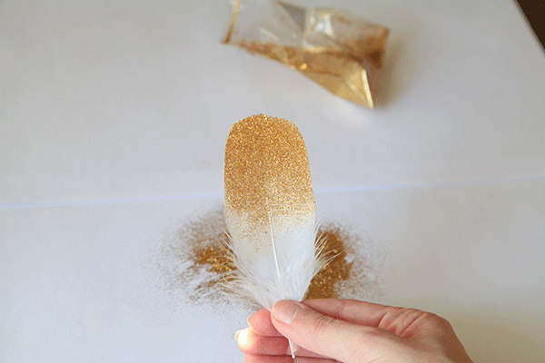 DIY Session #1 - How To Glitter Your Feathers