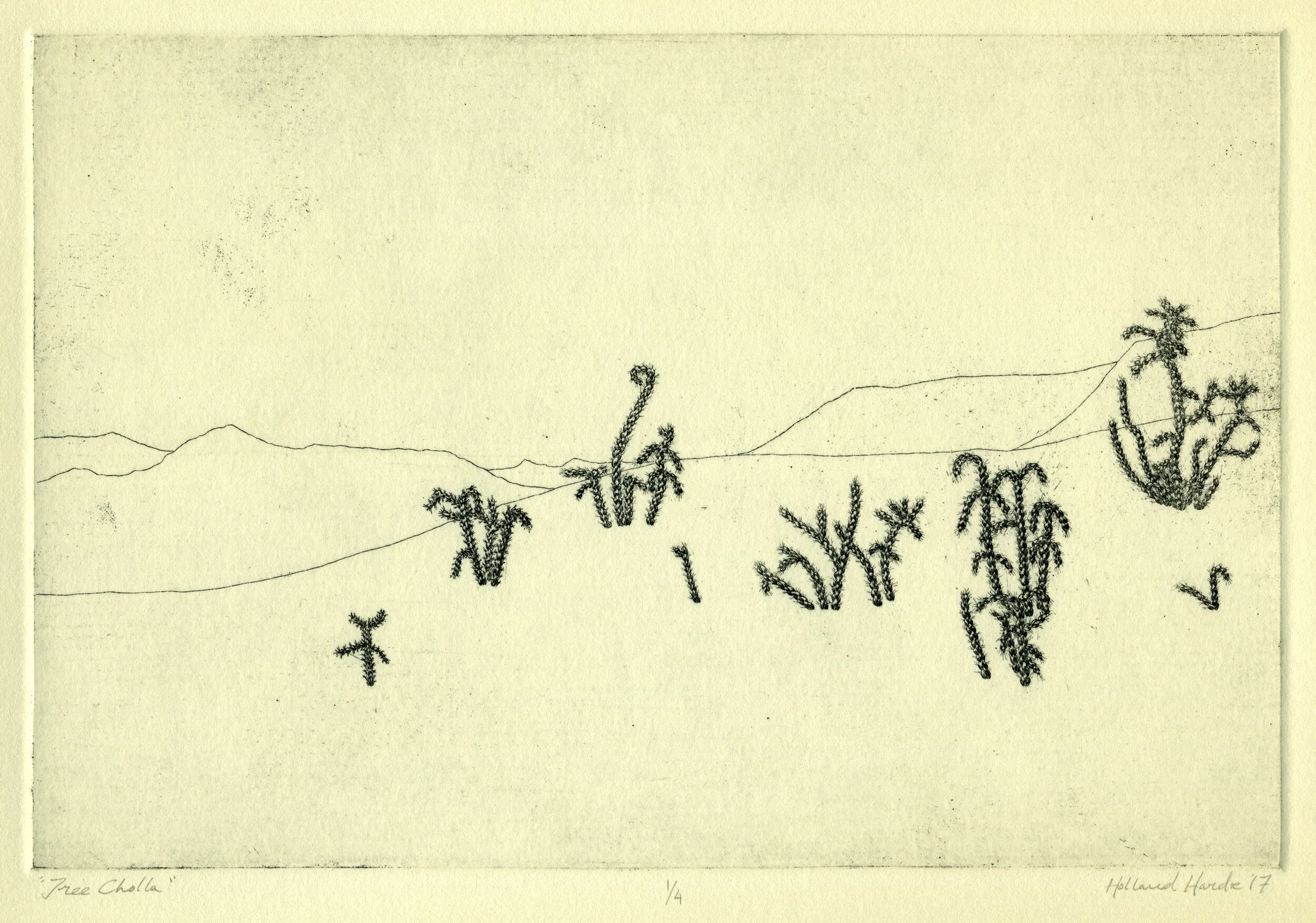 Tree Cholla  —  intaglio etching