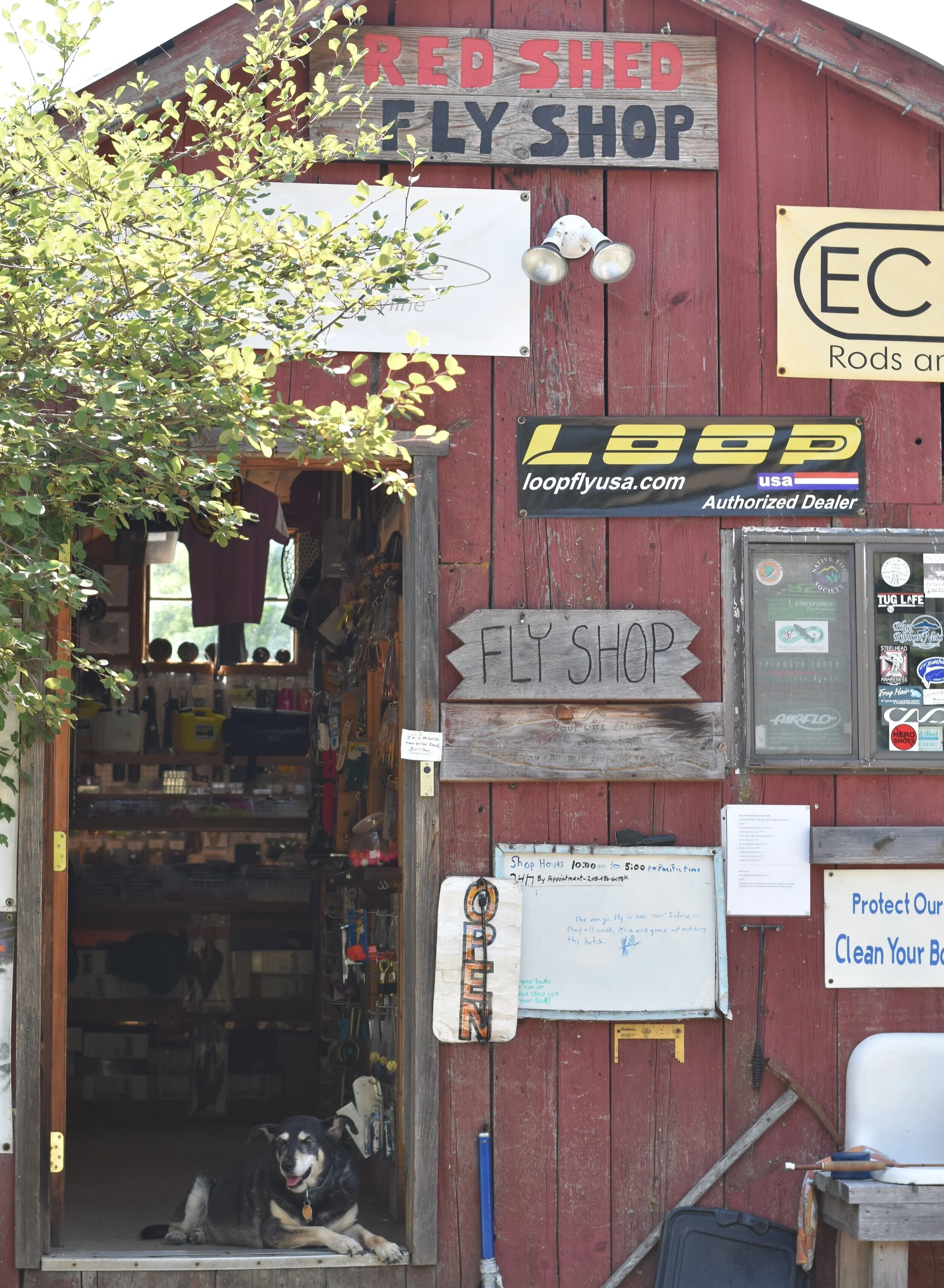 Conservation Commons Poppy Cummins — Idaho Wildlife Federation