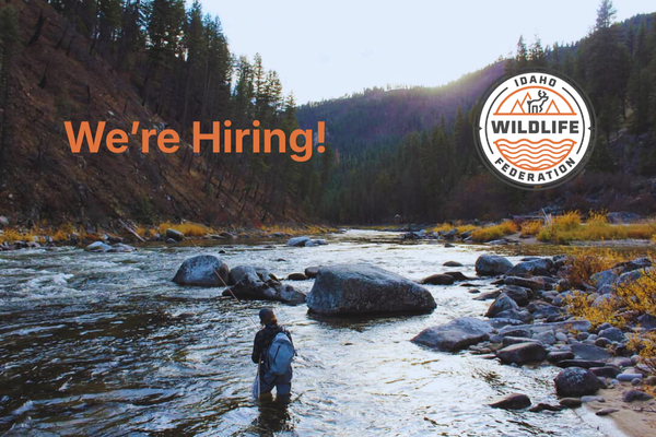 Job ANNOUNCEMENT: Community Engagement &amp; Events Coordinator