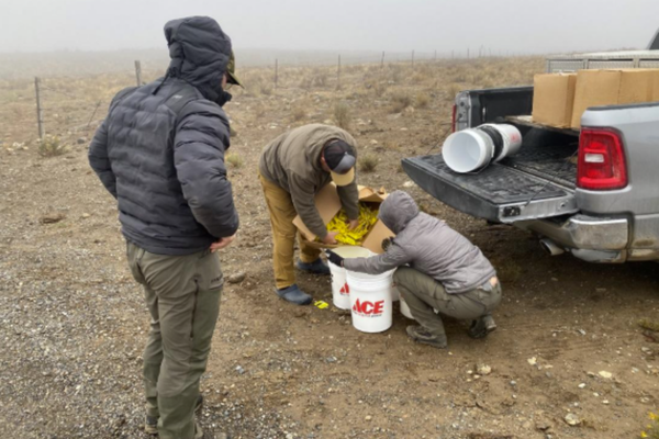 Affiliate Spotlight: Idaho Falconers Association