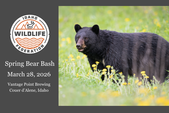 North Idaho Bear Bash