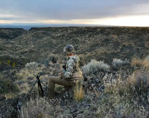 SB 1300 Would Make IDFG Director a Governor Appointee