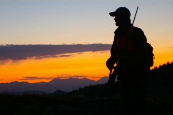 Guest Opinion: Idaho Big Game Management at a Pivotal Crossroads
