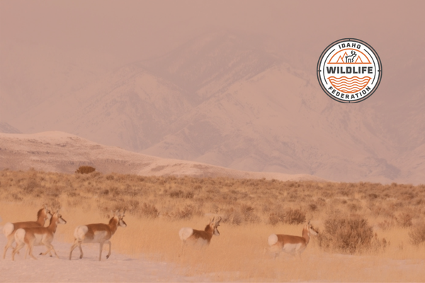 SCR 124 Passes: A Step Forward for Wildlife and Public Safety