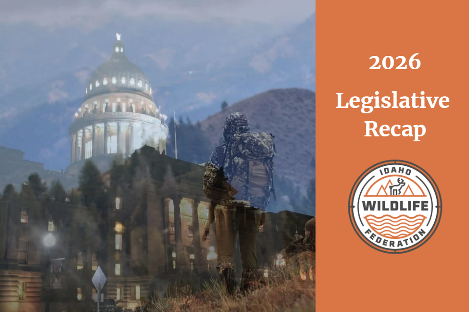 2026 Legislative Session Recap