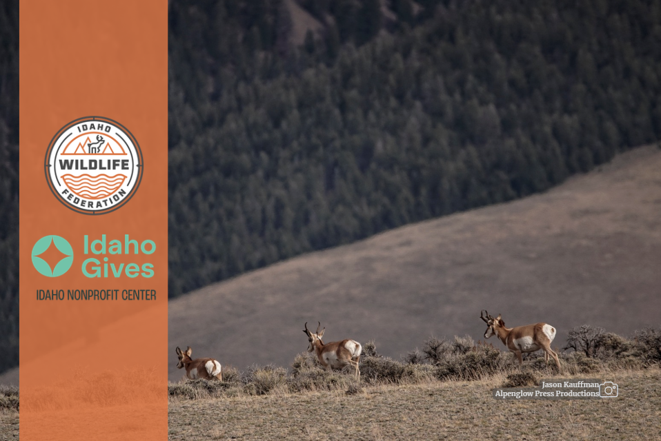 Idaho Gives 2026: Invest in Idaho’s Outdoors