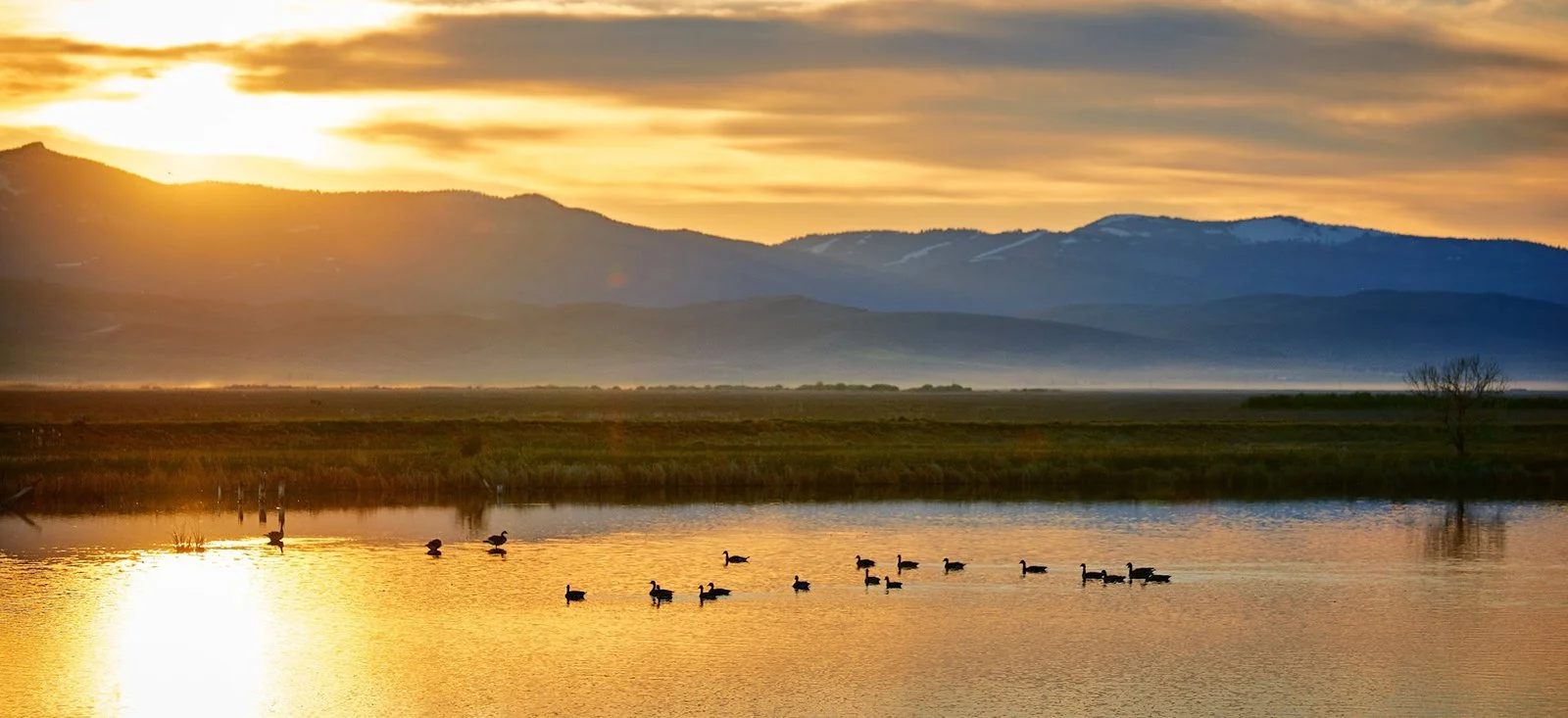 Proposed Expansion of Hunting and Fishing Access Marks Major Win for Public Lands