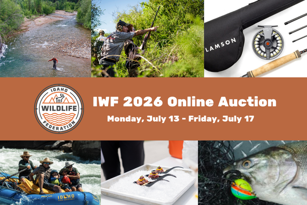 2026 IWF Online Auction