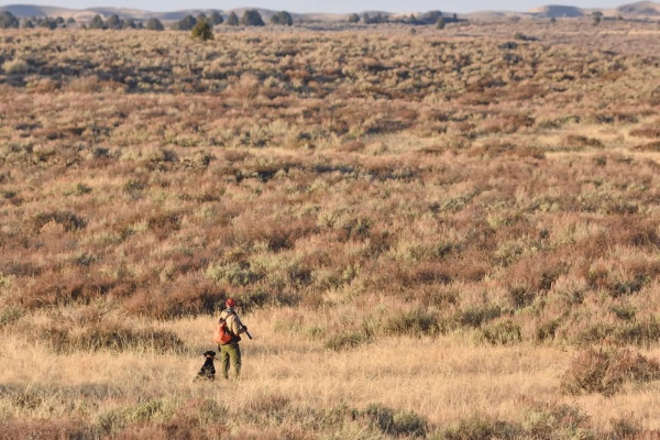 IWF Welcomes Executive Order Supporting America’s Hunting Heritage