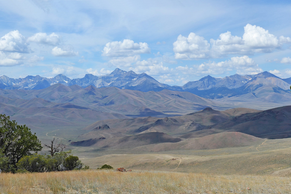 Before the System: The Early Days of Wildlife Conservation in Idaho