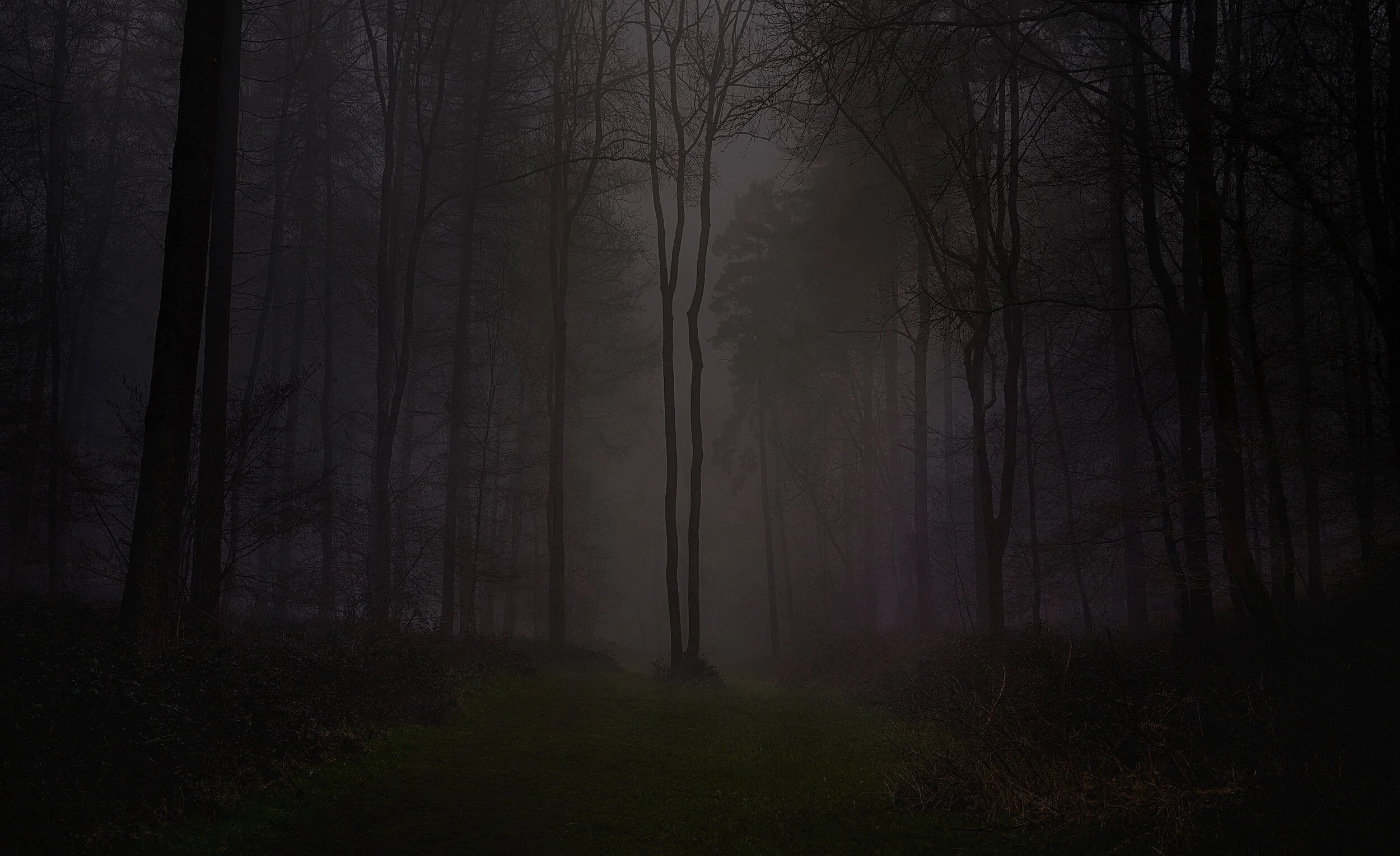 jongibson-skinner+photography+oxfordshire+tree+mist+landscape.jpg