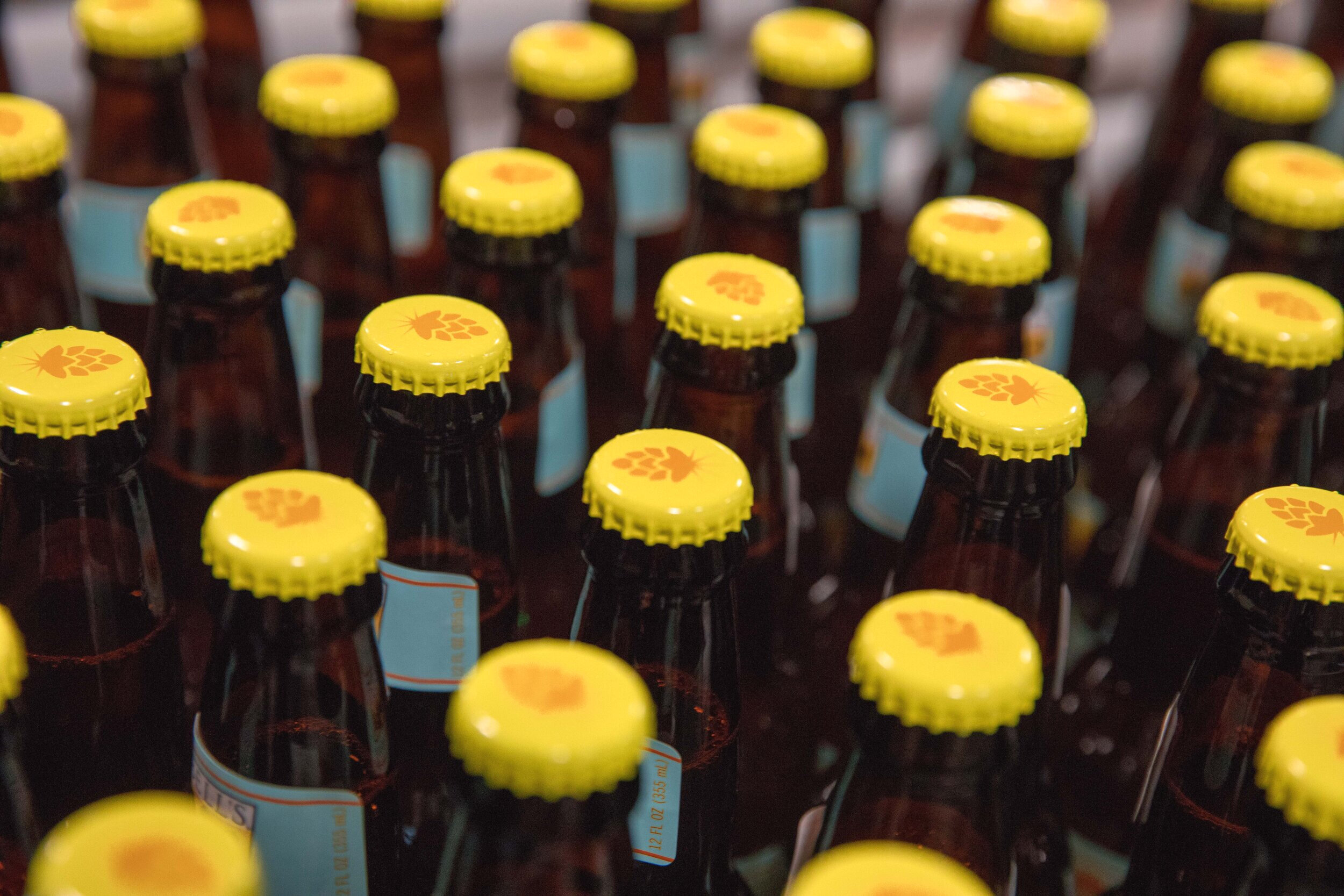 2018-01-08 Larry's Latest Sour Ale on the bottling line 0930 146A7562.jpg