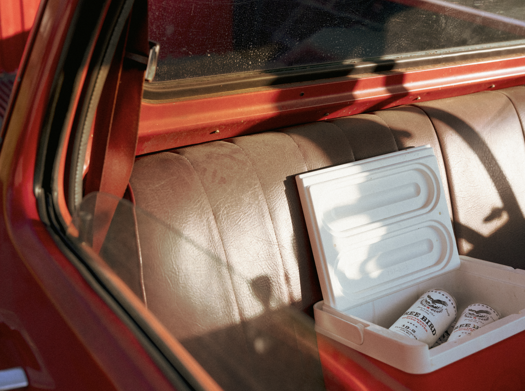 cooler with cans of Free Bird water in back seat of old car