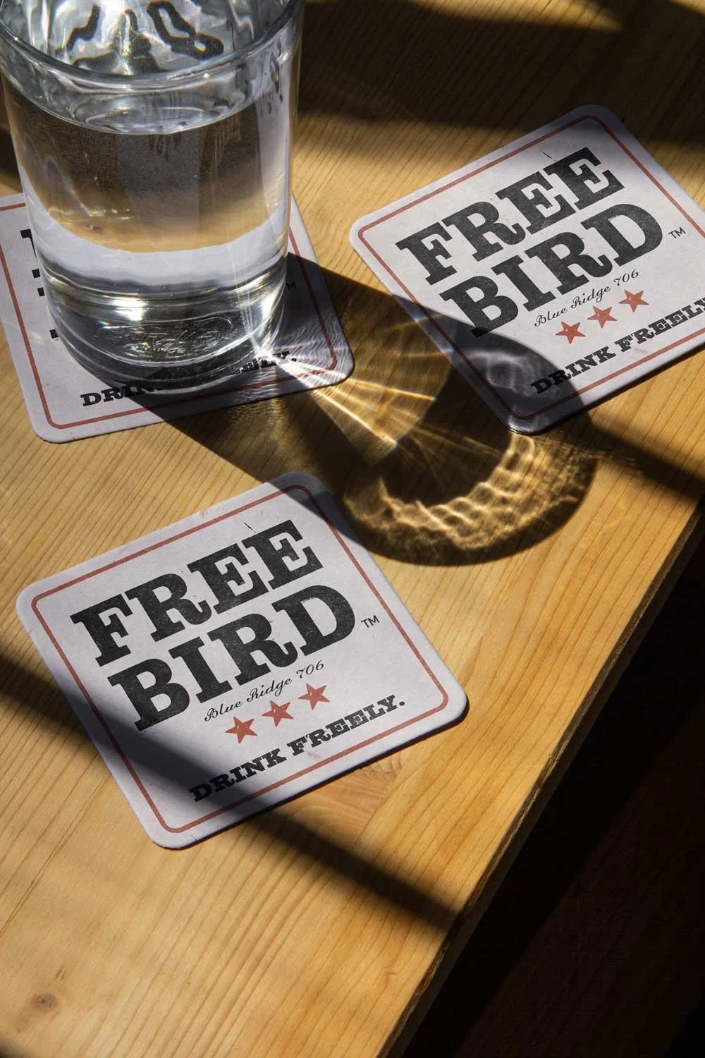 FreeBird_Coaster.jpg
