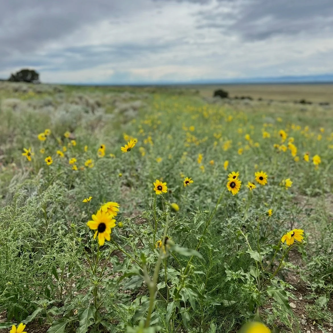 Spring Cleaning From the Inside Out