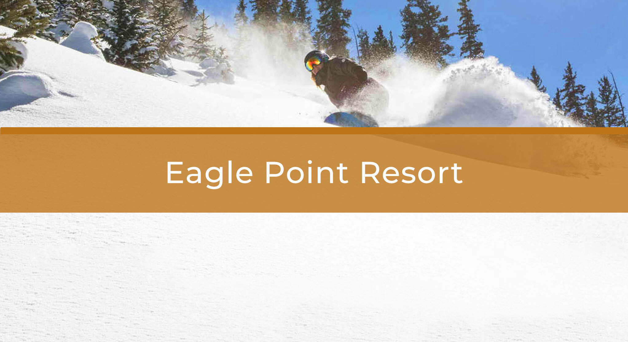 EaglePoint_Overlay.jpg