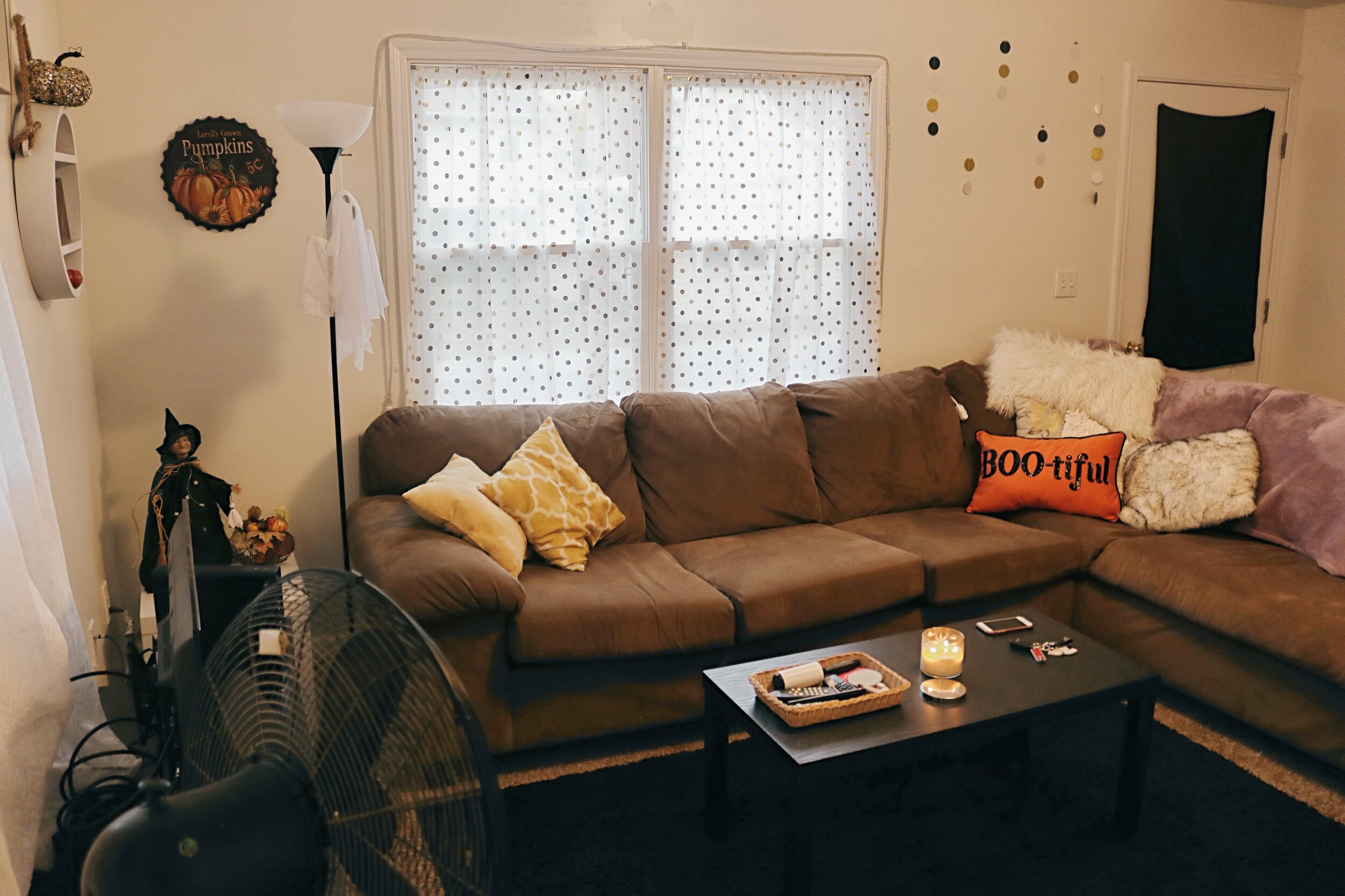 11 Frampton Street | Living Room Photo