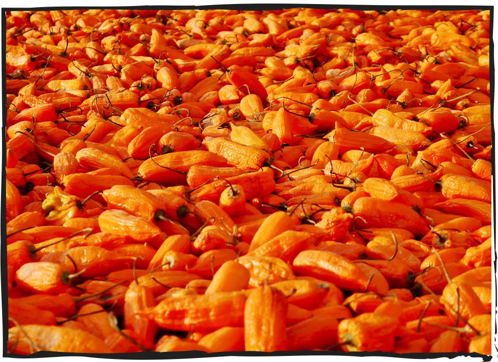 escabeche.jpg