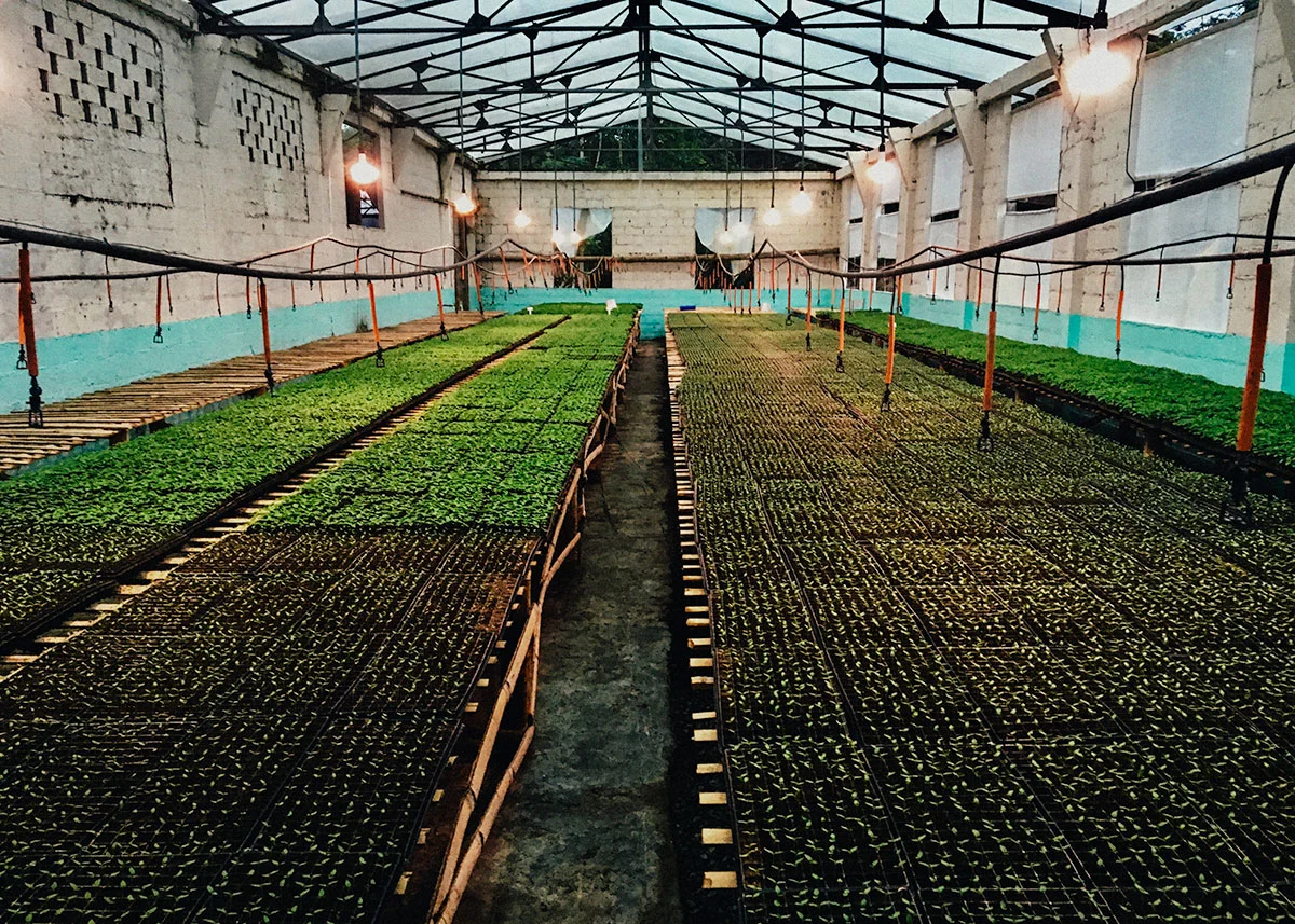 seedlab_room.jpg
