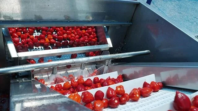 🌶🌶🌶🌶 #food #world #earth #foodie #stayhome #spicymeme #teamwork #ecuador #ecuadorian #peru #peruvianfood #habanerosauce #happy #yummy #chili #peppers #uchuspice #pizca #proaji #instapic #pictureoftheday #hot #inspiration #beautiful #health #photo