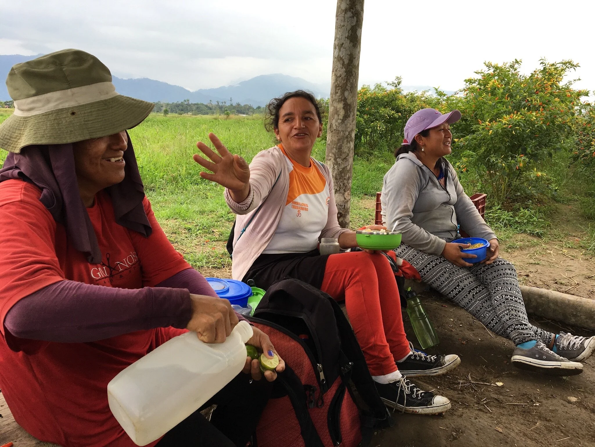  Pepper pickers enjoying their lunch break  