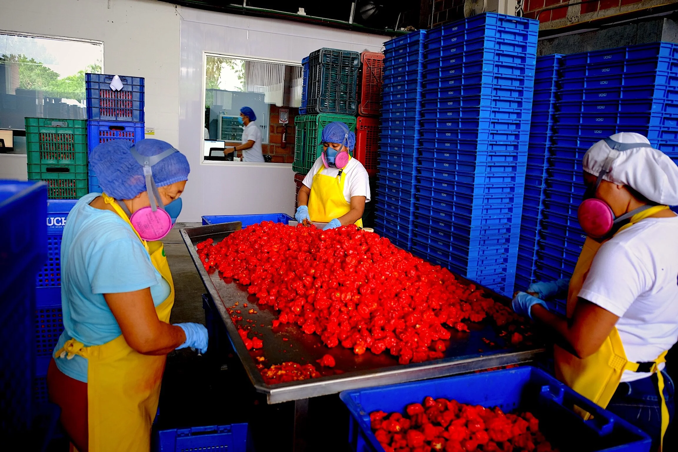   After: Proaji’s Production Center Today  