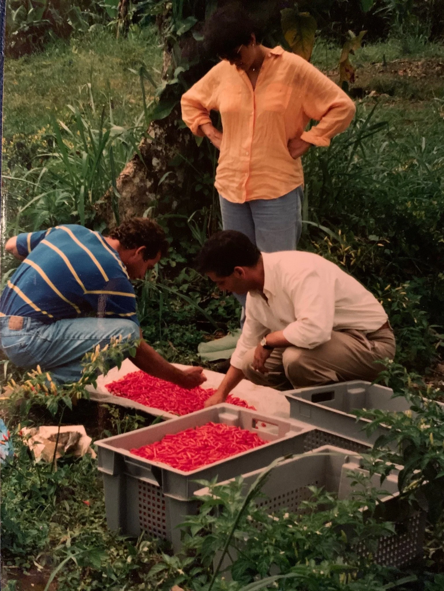 Hot Pepper Sourcing, the UCHU approach