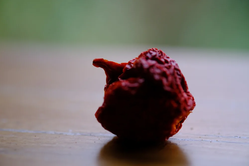 Escorpión Pepper (Scorpion)