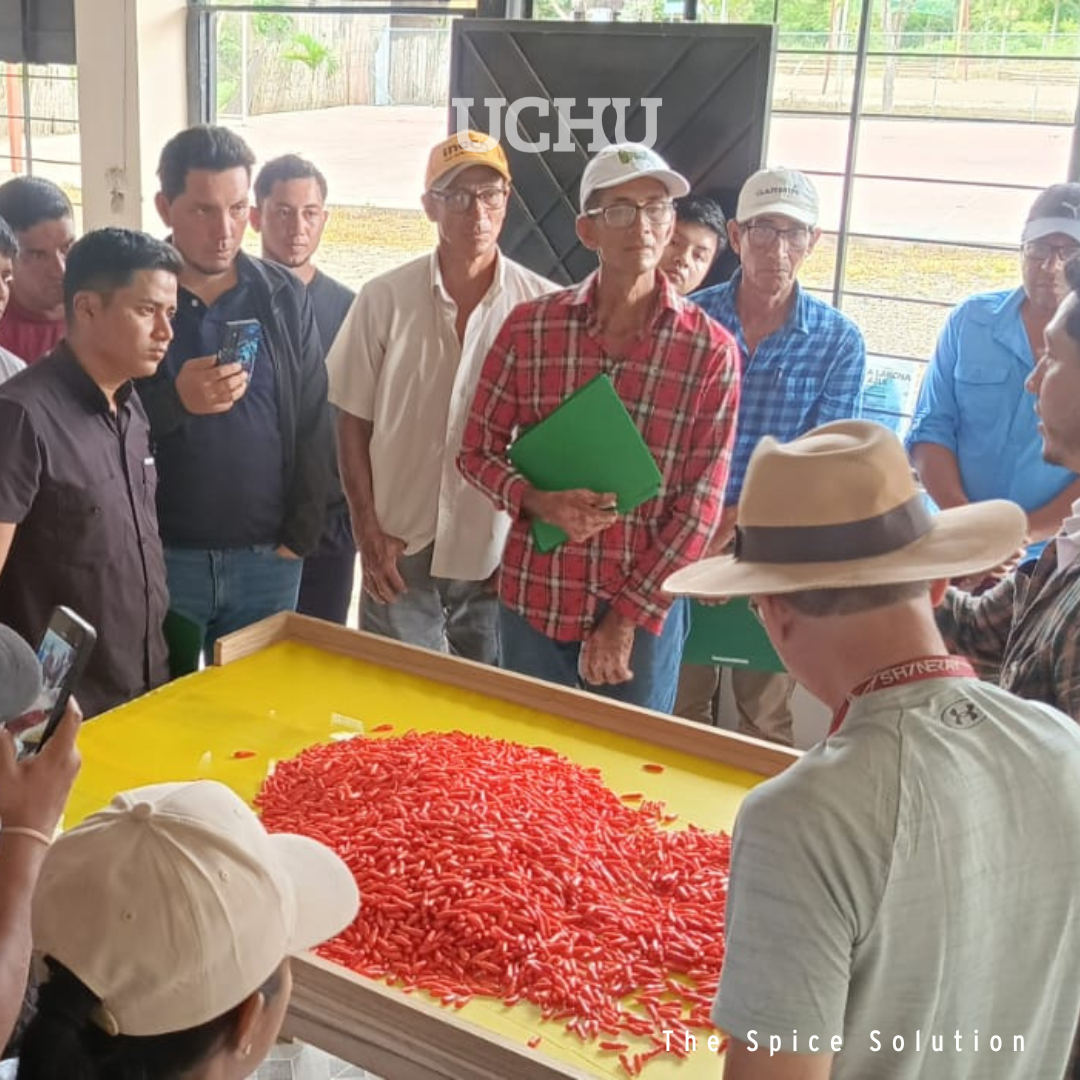 How UCHU Ensures Safe, Compliant, and Traceable Chili Production