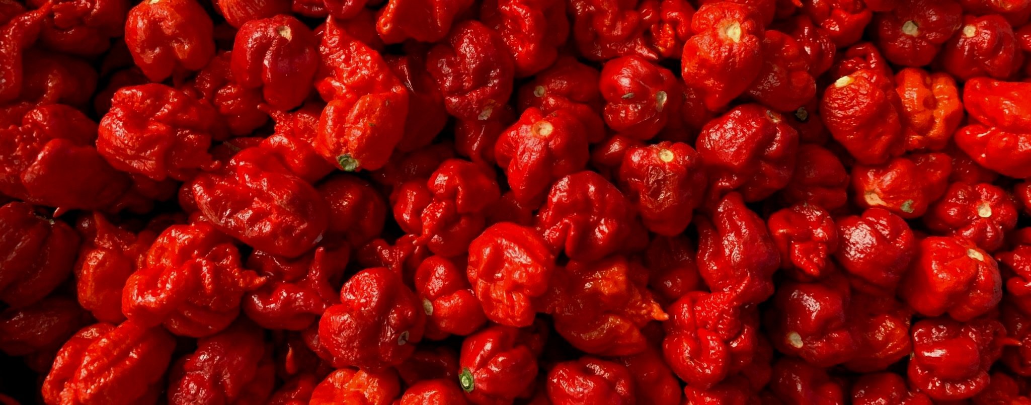 This is the record for eating the most Carolina Reaper, the