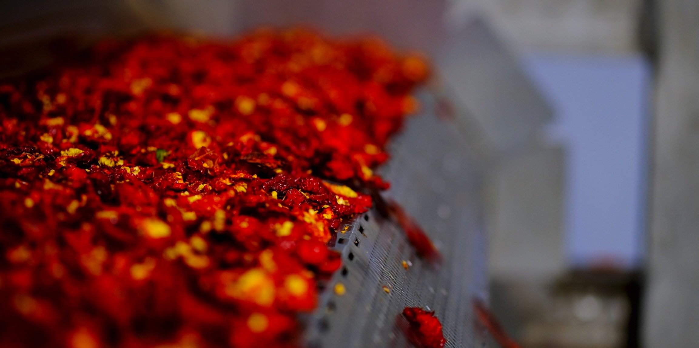 The King of Spicy: All about the Carolina Reaper